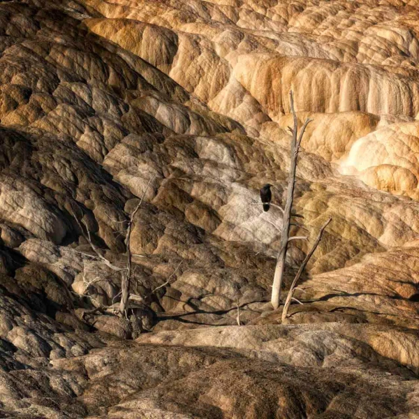 37 landscape yellowstone in color