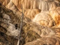 38 landscape yellowstone in color