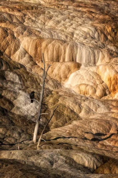 38 landscape yellowstone in color