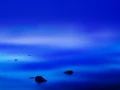 42 landscape yellowstone in color