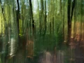07 underwood charente maritime artistic blur