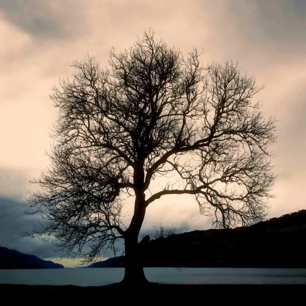 08 mysteries of loch ness scotland