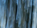 03 the tears of the trees