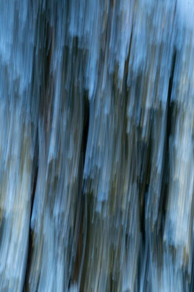 03 the tears of the trees