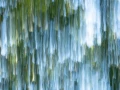 04 the tears of the trees