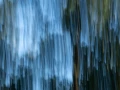 05 the tears of the trees
