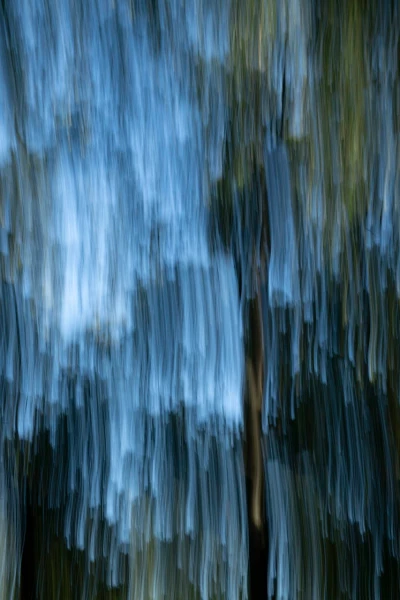 05 the tears of the trees