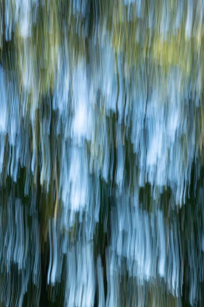 06 the tears of the trees