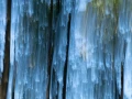 07 the tears of the trees