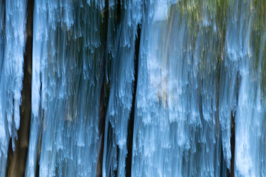 07 the tears of the trees