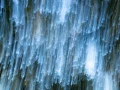 08 the tears of the trees