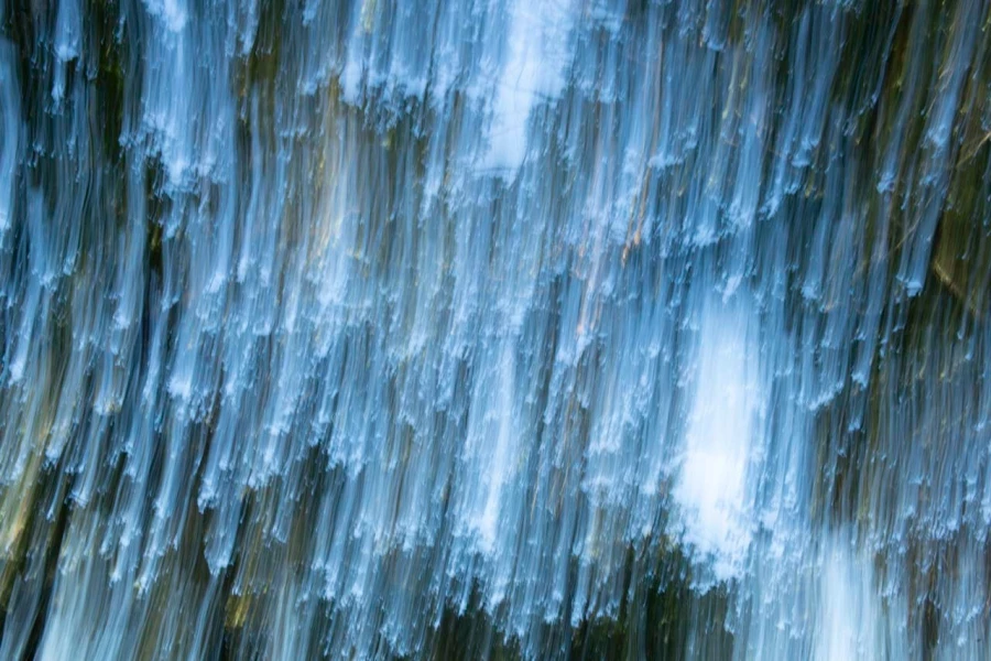08 the tears of the trees