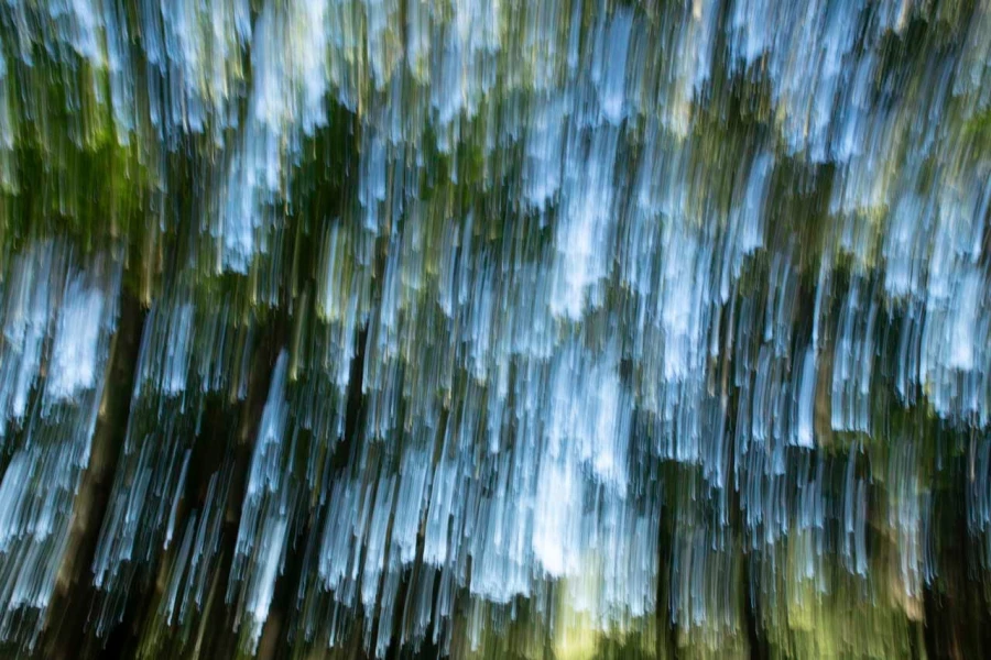 09 the tears of the trees