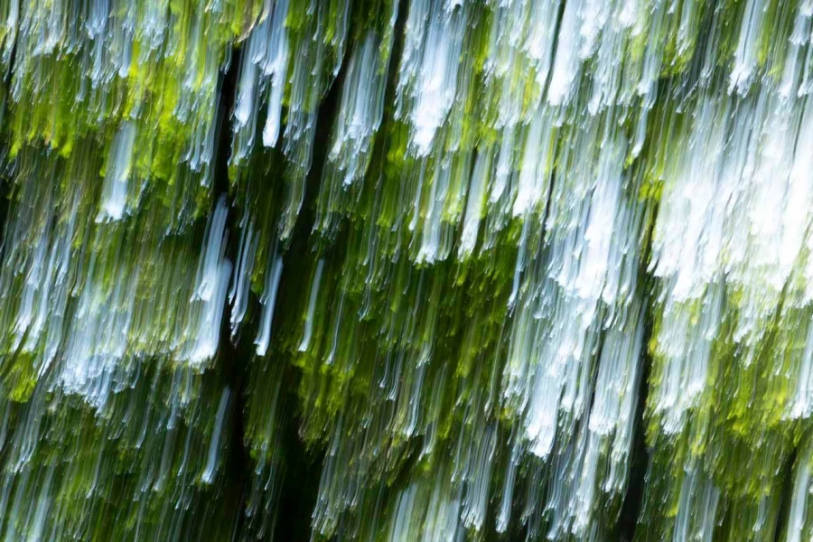 10 the tears of the trees