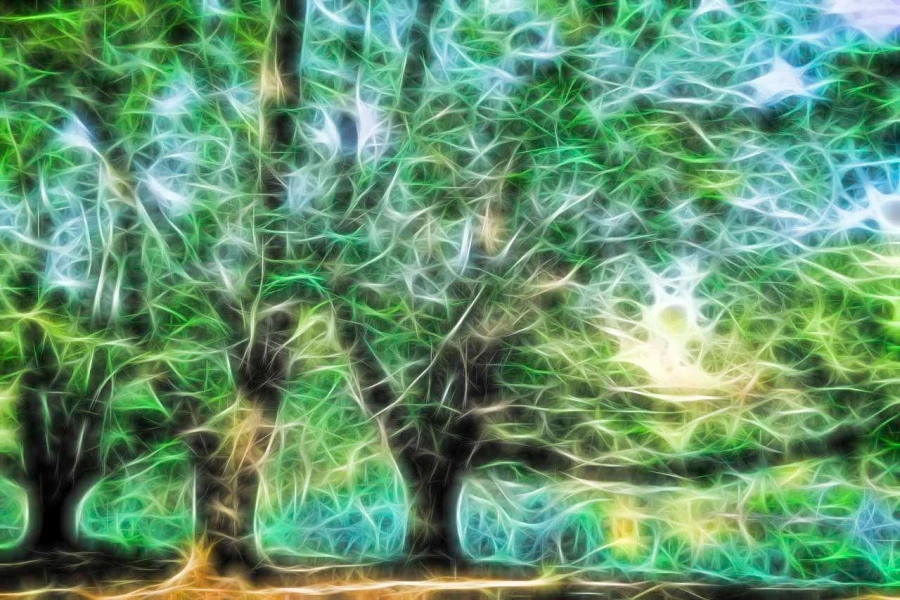 03 trees underwoods in fusion style