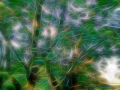 04 trees underwoods in fusion style