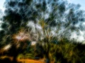 07 trees underwoods in fusion style