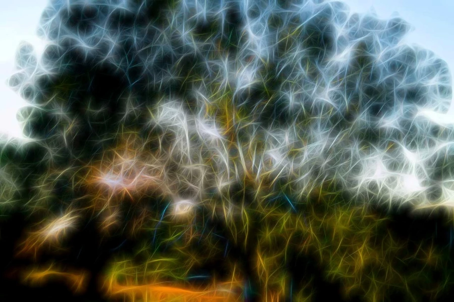 07 trees underwoods in fusion style