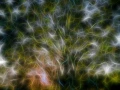 08 trees underwoods in fusion style