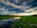 011 paysage de la dombes etang couleur