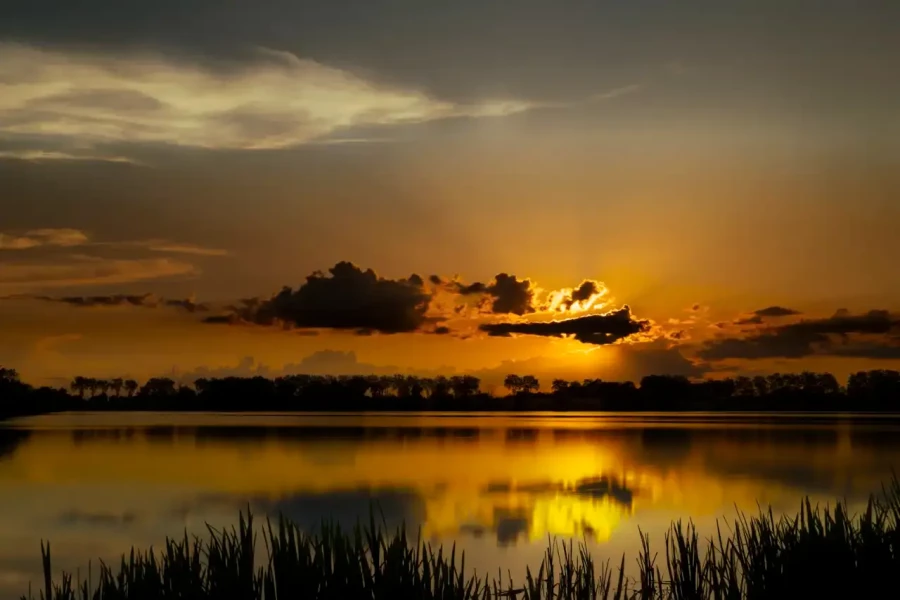 006 landscape the dombes pond color