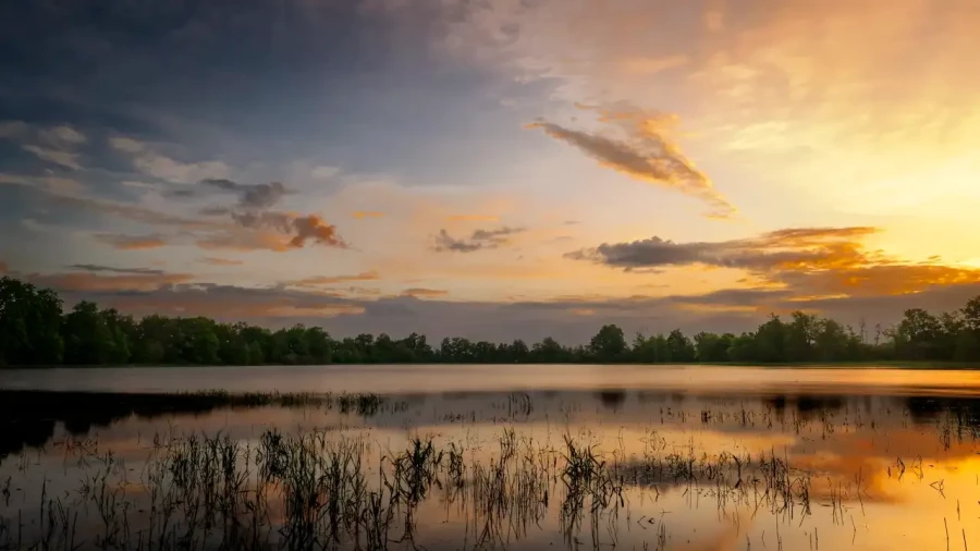 009 landscape the dombes pond color