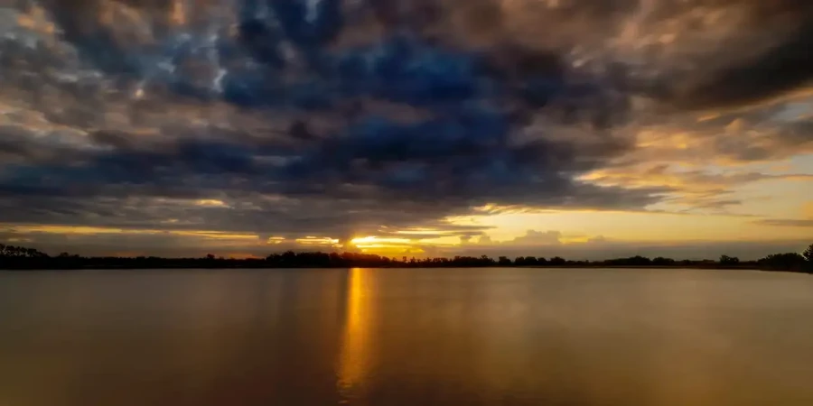 010 landscape the dombes pond color