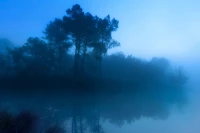 Figurative photographic vision