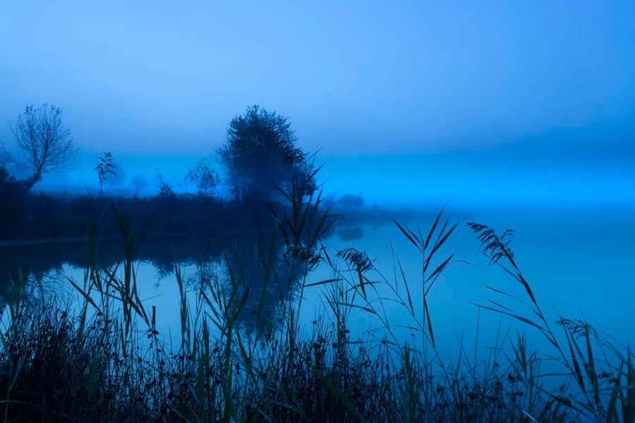 03 paysage zone humide haute saintonge france