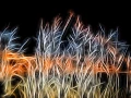 01 bords d etangs en fusion