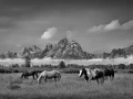 09 grand teton au wyoming