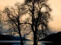 03 mysteres du loch ness ecosse