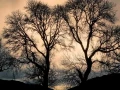 04 mysteres du loch ness ecosse
