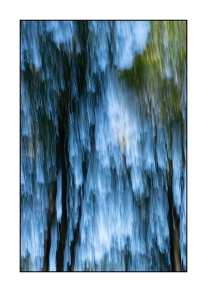 01 les pleurs des arbres 1646c