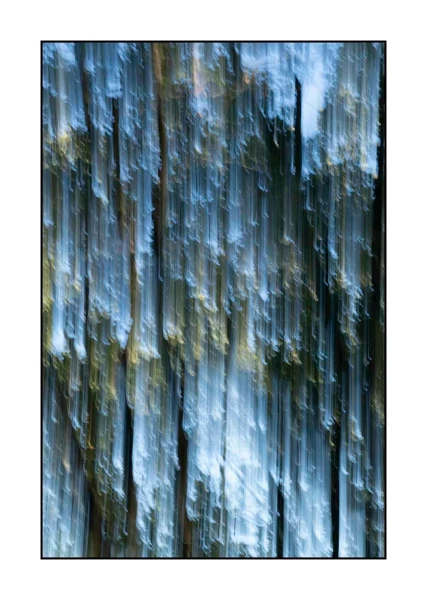 02 les pleurs des arbres 1647c