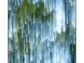 04 les pleurs des arbres 1649c