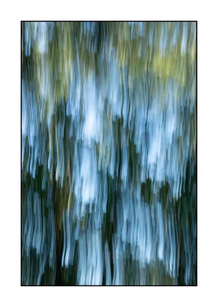 06 les pleurs des arbres 1651c