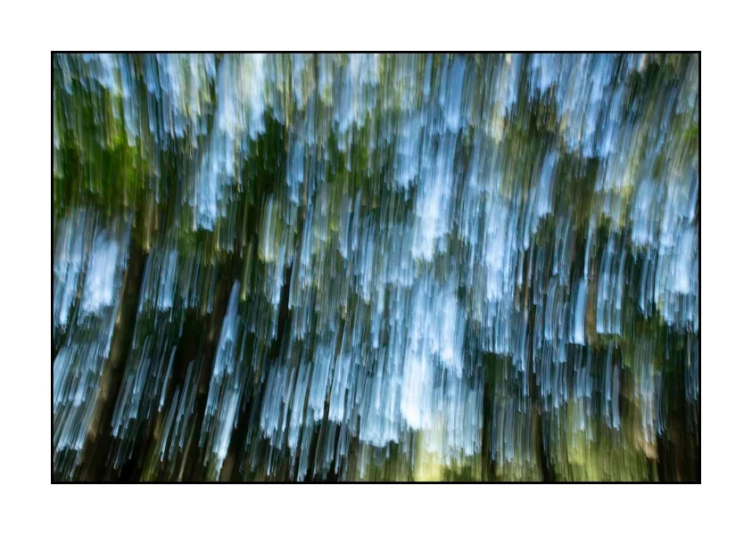 09 les pleurs des arbres 1654c