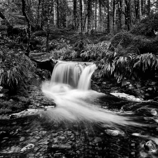 21 paysage mid highlands en ecosse