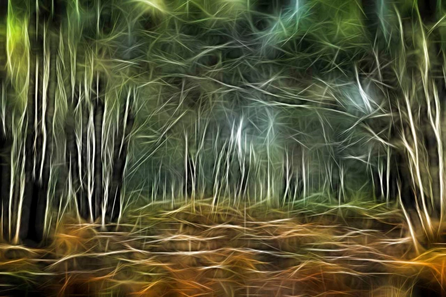 06 arbres sous bois style fusion