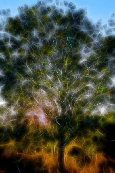 08 arbres sous bois style fusion