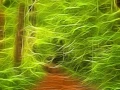 16 sous bois smoky mountains style fusion