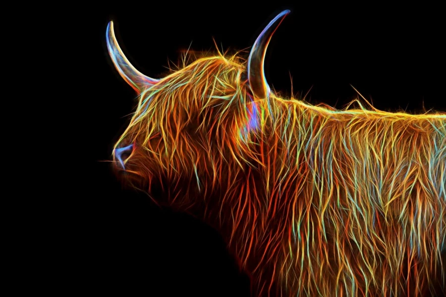 06 vache highland style fusion en ecosse