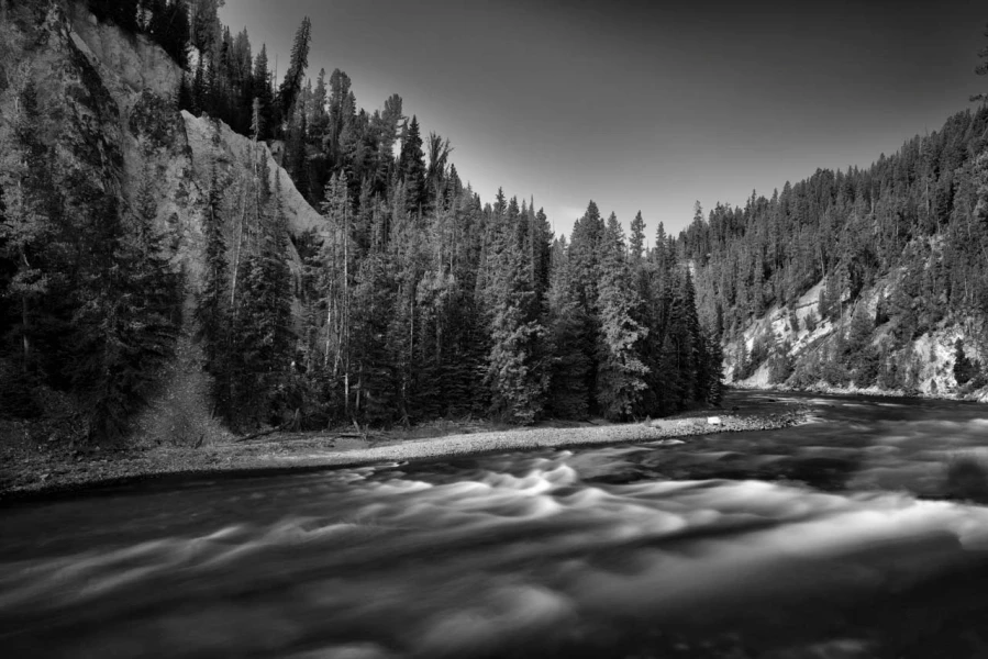 03 paysage du yellowstone en noir et blanc