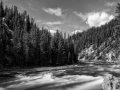 16 paysage du yellowstone en noir et blanc