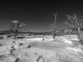 20 paysage du yellowstone en noir et blanc