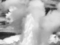 26 paysage du yellowstone en noir et blanc