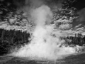30 paysage du yellowstone en noir et blanc