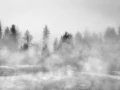 33 paysage du yellowstone en noir et blanc