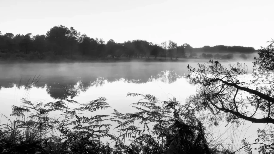 Paysage de la Haute-Saintonge en Charente-Maritime en France en noir et blanc